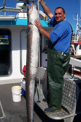 Out The Blue - Boatfishing Charters Guernsey