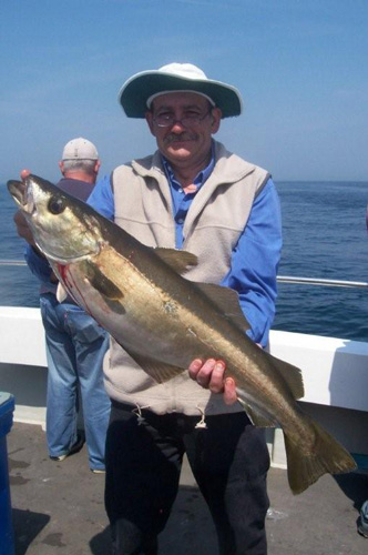 Out The Blue - Boatfishing Charters Guernsey