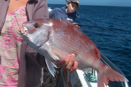 Out The Blue - Boatfishing Charters Guernsey