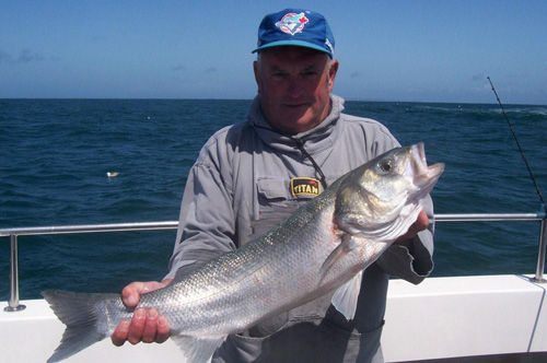 Out The Blue - Boatfishing Charters Guernsey