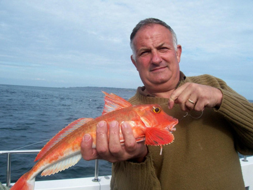 Out The Blue - Boatfishing Charters Guernsey