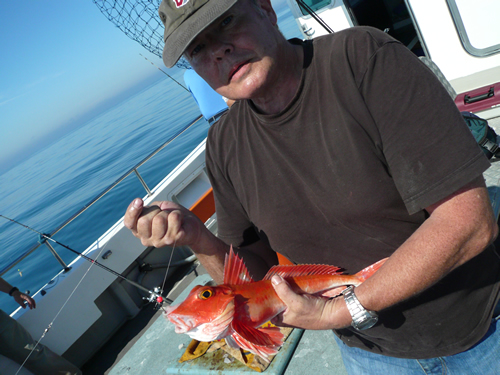 Out The Blue - Boatfishing Charters Guernsey