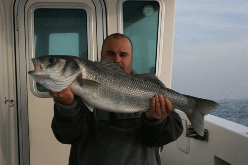 Out The Blue - Boatfishing Charters Guernsey