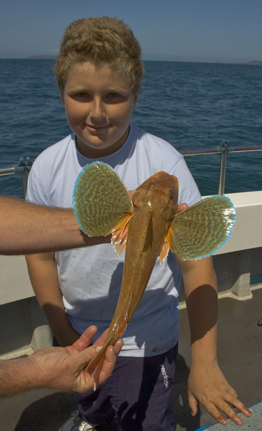 Out The Blue - Boatfishing Charters Guernsey