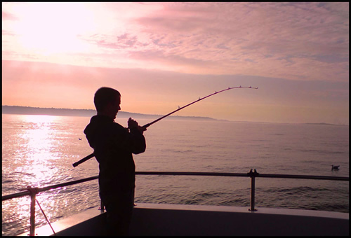 Out The Blue - Boatfishing Charters Guernsey