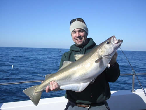 Out The Blue - Boatfishing Charters Guernsey