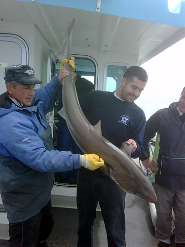 Out The Blue - Boatfishing Charters Guernsey