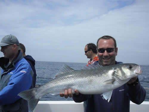 Out The Blue - Boatfishing Charters Guernsey