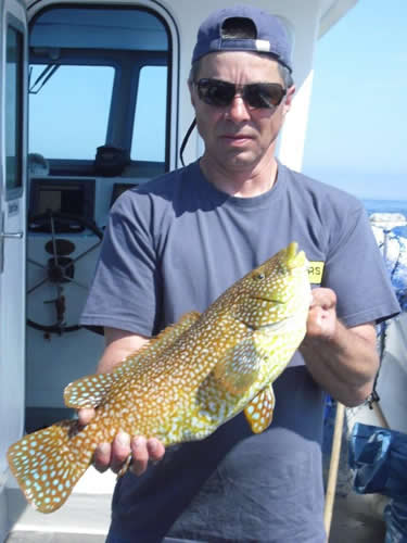 Out The Blue - Boatfishing Charters Guernsey