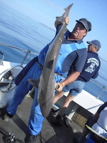 Out The Blue - Boatfishing Charters Guernsey