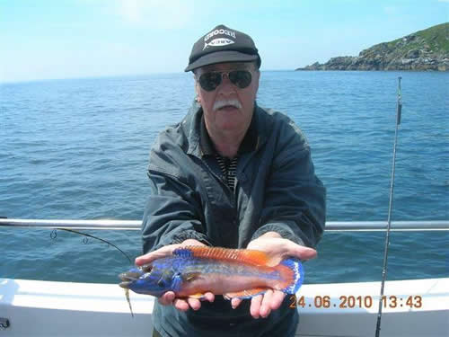 Out The Blue - Boatfishing Charters Guernsey