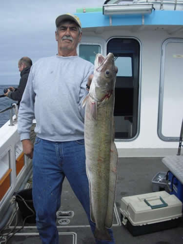 Out The Blue - Boatfishing Charters Guernsey