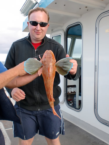 Out The Blue - Boatfishing Charters Guernsey