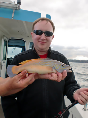 Out The Blue - Boatfishing Charters Guernsey