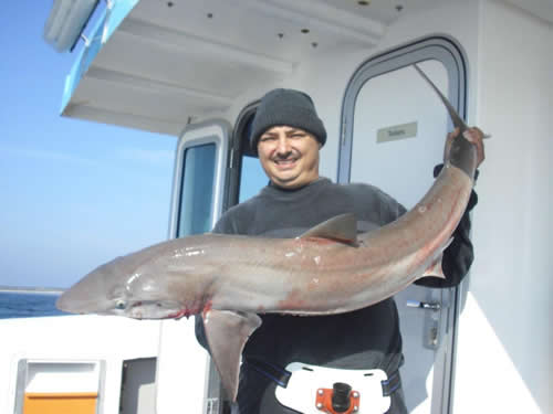 Out The Blue - Boatfishing Charters Guernsey