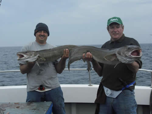 Out The Blue - Boatfishing Charters Guernsey