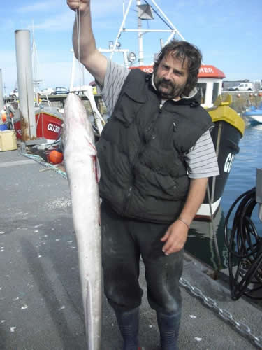 Out The Blue - Boatfishing Charters Guernsey