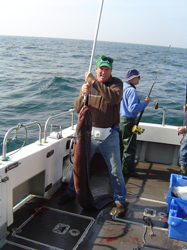 Out The Blue - Boatfishing Charters Guernsey