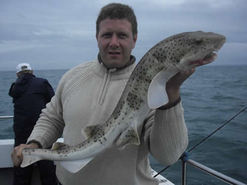 Out The Blue - Boatfishing Charters Guernsey