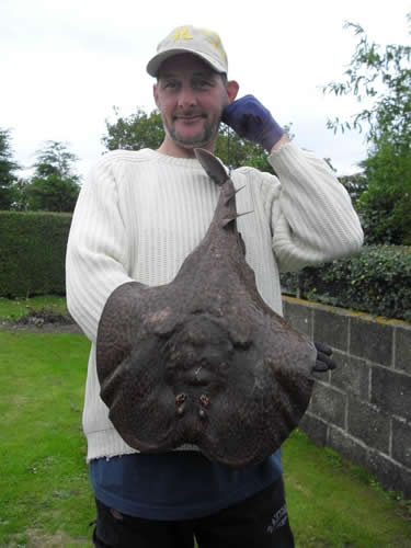 British record for Marbled Electric Ray