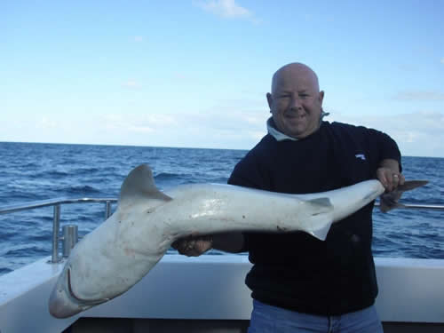 Out The Blue - Boatfishing Charters Guernsey