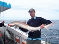 Out The Blue - Boatfishing Charters Guernsey