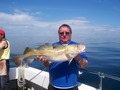 Out The Blue - Boatfishing Charters Guernsey