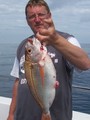 Out The Blue - Boatfishing Charters Guernsey