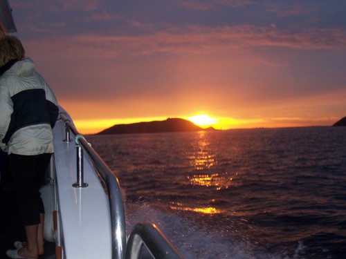 Out The Blue - Boatfishing Charters Guernsey