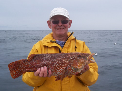 Out The Blue - Boatfishing Charters Guernsey