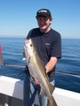 Out The Blue - Boatfishing Charters Guernsey