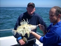 Out The Blue - Boatfishing Charters Guernsey