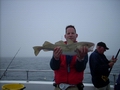 Out The Blue - Boatfishing Charters Guernsey