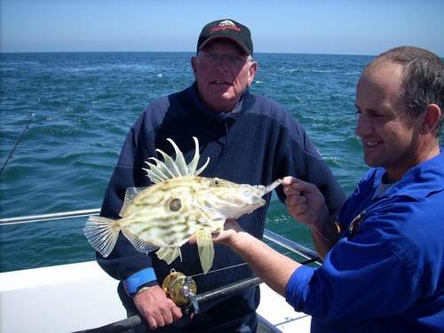 Out The Blue - Boatfishing Charters Guernsey