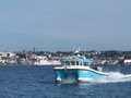 Out The Blue - Boatfishing Charters Guernsey