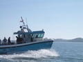 Out The Blue - Boatfishing Charters Guernsey