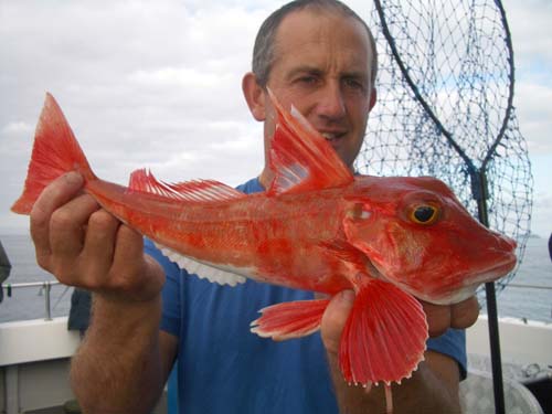 Out The Blue - Boatfishing Charters Guernsey