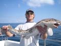 Out The Blue - Boatfishing Charters Guernsey