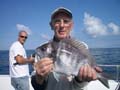 Out The Blue - Boatfishing Charters Guernsey