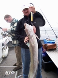 Out The Blue - Boatfishing Charters Guernsey