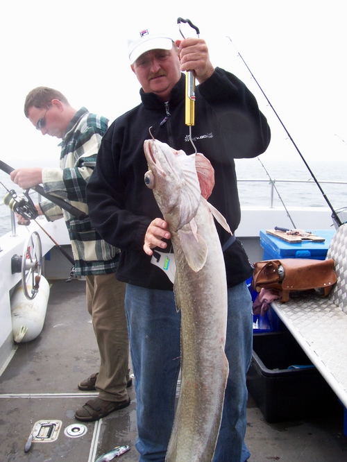 Out The Blue - Boatfishing Charters Guernsey