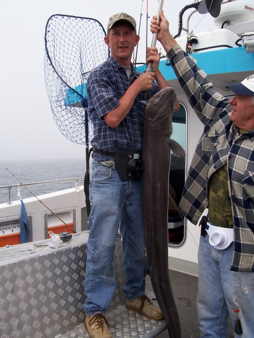 Out The Blue - Boatfishing Charters Guernsey