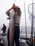 Out The Blue - Boatfishing Charters Guernsey