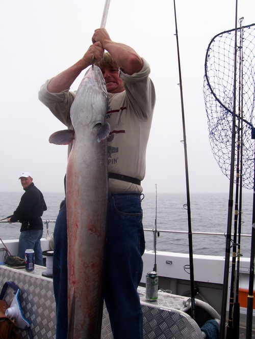 Out The Blue - Boatfishing Charters Guernsey