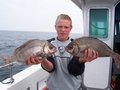 Out The Blue - Boatfishing Charters Guernsey