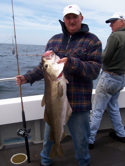 Out The Blue - Boatfishing Charters Guernsey