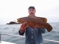 Out The Blue - Boatfishing Charters Guernsey