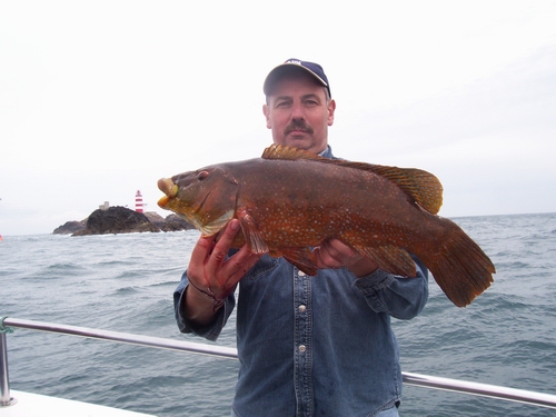 Out The Blue - Boatfishing Charters Guernsey