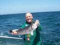 Out The Blue - Boatfishing Charters Guernsey