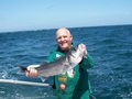 Out The Blue - Boatfishing Charters Guernsey